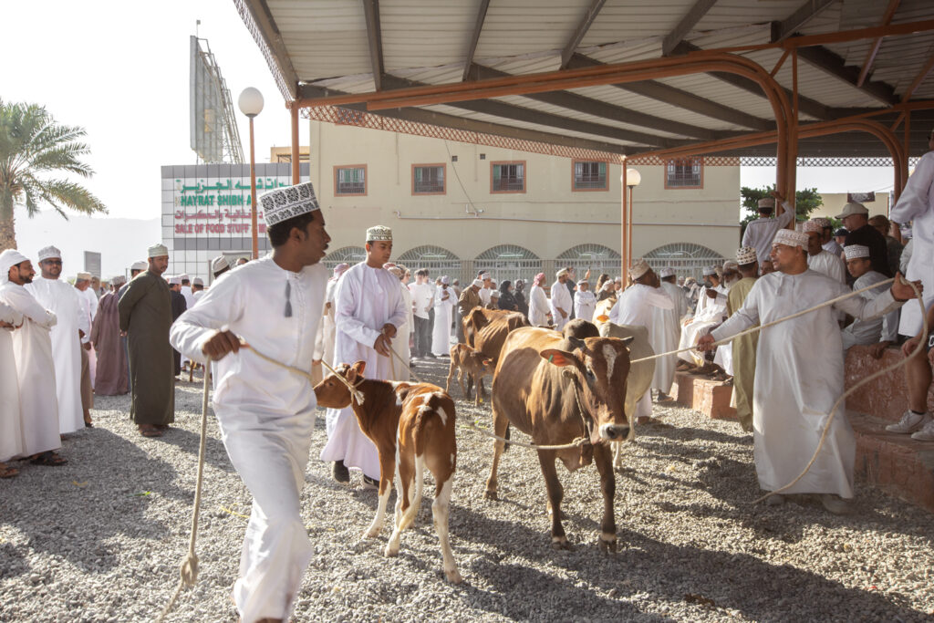 Oman mercati animali e spezie